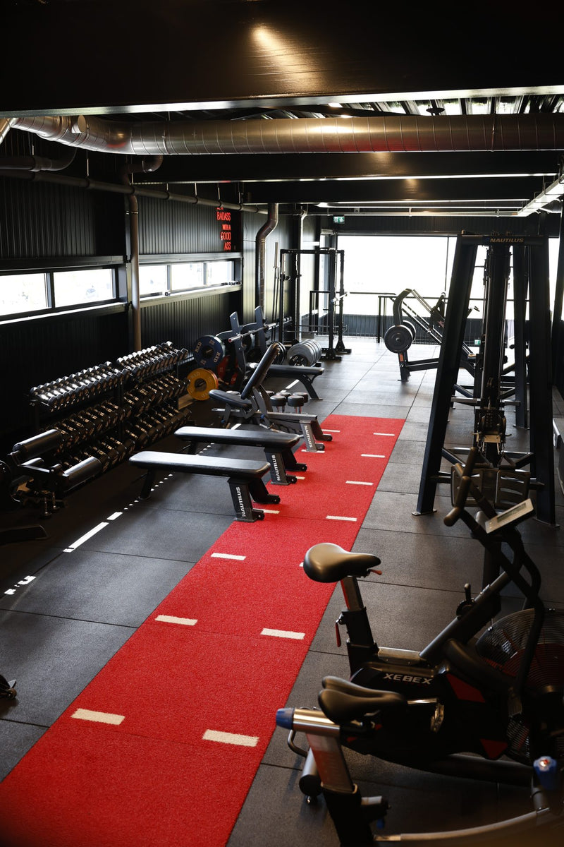Open Gym